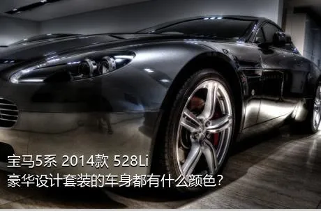 宝马5系 2014款 528Li 豪华设计套装的车身都有什么颜色？