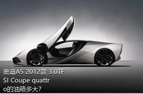 奥迪A5 2012款 3.0TFSI Coupe quattro的油箱多大？