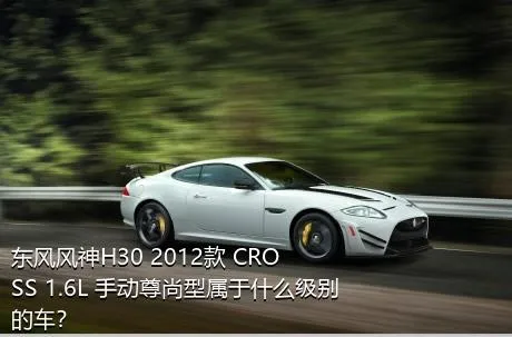 东风风神H30 2012款 CROSS 1.6L 手动尊尚型属于什么级别的车？