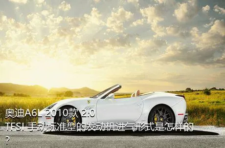 奥迪A6L 2010款 2.0 TFSI 手动标准型的发动机进气形式是怎样的？