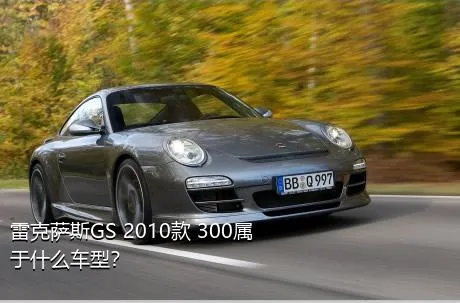 雷克萨斯GS 2010款 300属于什么车型？