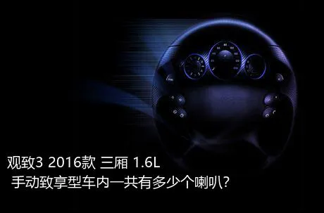 观致3 2016款 三厢 1.6L 手动致享型车内一共有多少个喇叭？