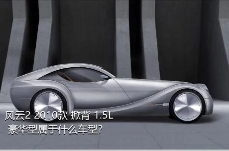 风云2 2010款 掀背 1.5L 豪华型属于什么车型？