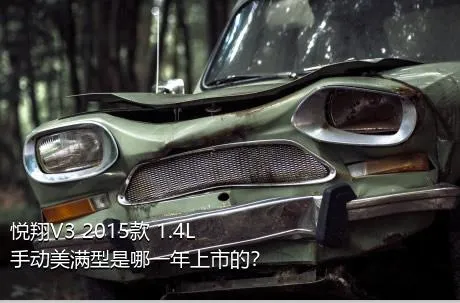 悦翔V3 2015款 1.4L 手动美满型是哪一年上市的？