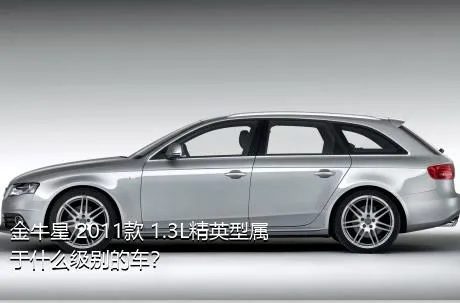 金牛星 2011款 1.3L精英型属于什么级别的车？