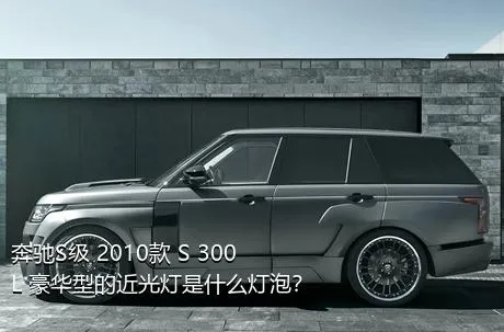 奔驰S级 2010款 S 300 L 豪华型的近光灯是什么灯泡？