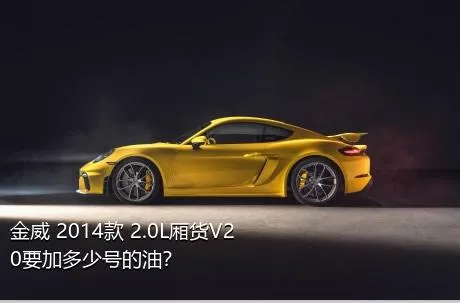 金威 2014款 2.0L厢货V20要加多少号的油？