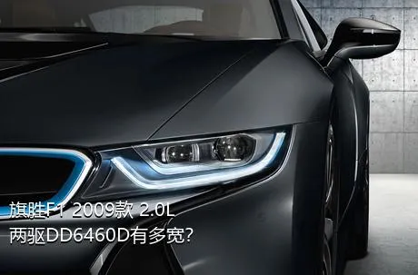 旗胜F1 2009款 2.0L 两驱DD6460D有多宽？