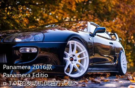 Panamera 2016款 Panamera Edition 3.0T的发动机供油方式是？