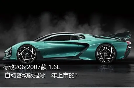 标致206 2007款 1.6L 自动睿动版是哪一年上市的？