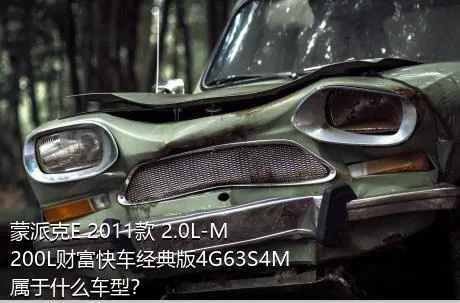 蒙派克E 2011款 2.0L-M200L财富快车经典版4G63S4M属于什么车型？