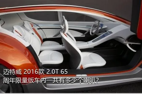 迈特威 2016款 2.0T 65周年限量版车内一共有多少个喇叭？