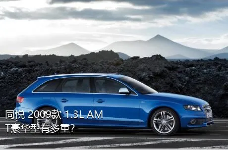 同悦 2009款 1.3L AMT豪华型有多重？