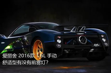 爱丽舍 2016款 1.6L 手动舒适型有没有前雾灯？