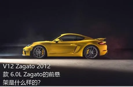 V12 Zagato 2012款 6.0L Zagato的前悬架是什么样的？