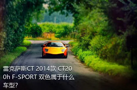 雷克萨斯CT 2014款 CT200h F-SPORT 双色属于什么车型？