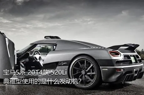 宝马5系 2014款 520Li 典雅型使用的是什么发动机？