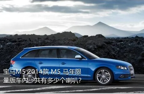 宝马M5 2014款 M5 马年限量版车内一共有多少个喇叭？