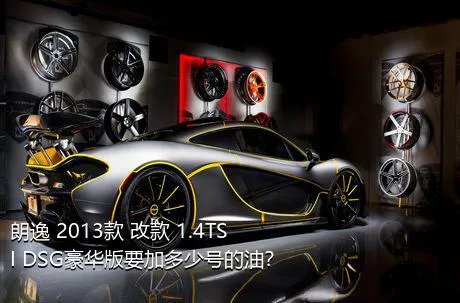 朗逸 2013款 改款 1.4TSI DSG豪华版要加多少号的油？