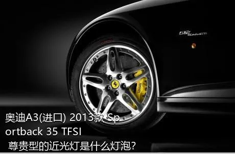 奥迪A3(进口) 2013款 Sportback 35 TFSI 尊贵型的近光灯是什么灯泡？