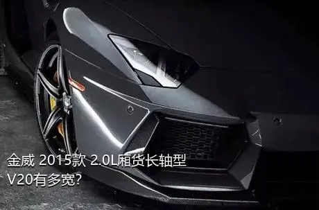 金威 2015款 2.0L厢货长轴型V20有多宽？