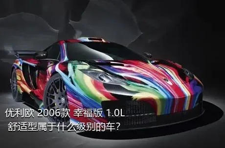 优利欧 2006款 幸福版 1.0L 舒适型属于什么级别的车？