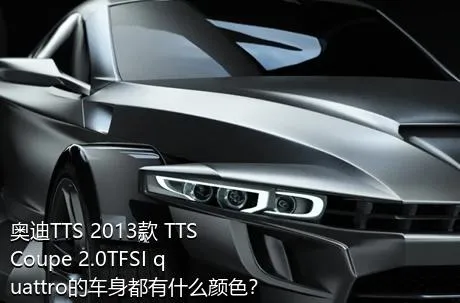 奥迪TTS 2013款 TTS Coupe 2.0TFSI quattro的车身都有什么颜色？