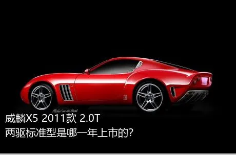 威麟X5 2011款 2.0T 两驱标准型是哪一年上市的？