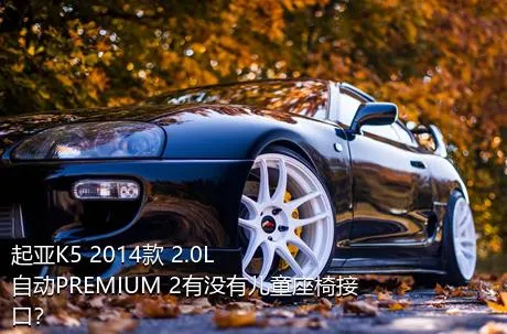 起亚K5 2014款 2.0L 自动PREMIUM 2有没有儿童座椅接口？