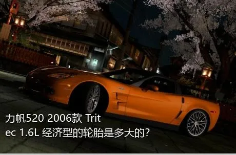 力帆520 2006款 Tritec 1.6L 经济型的轮胎是多大的？