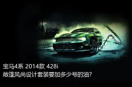 宝马4系 2014款 428i 敞篷风尚设计套装要加多少号的油？