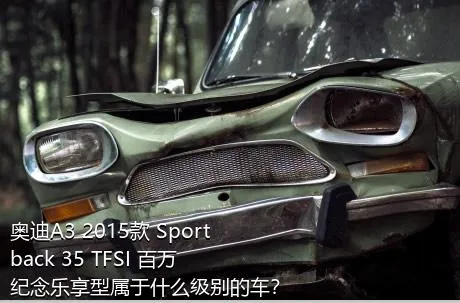 奥迪A3 2015款 Sportback 35 TFSI 百万纪念乐享型属于什么级别的车？