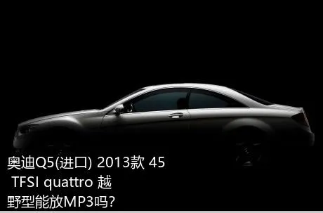 奥迪Q5(进口) 2013款 45 TFSI quattro 越野型能放MP3吗？