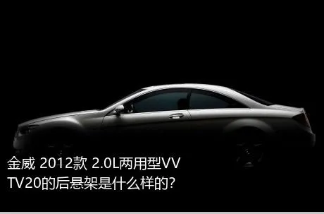 金威 2012款 2.0L两用型VVTV20的后悬架是什么样的？