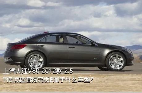 上汽大通V80 2012款 2.5T低顶超值物流版E属于什么车型？