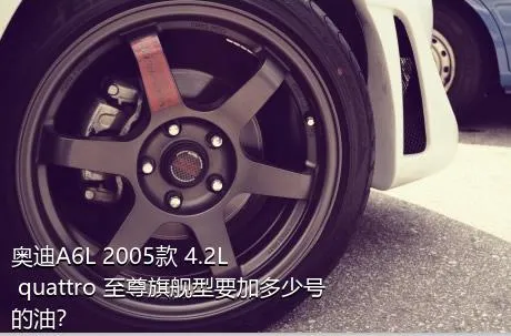 奥迪A6L 2005款 4.2L quattro 至尊旗舰型要加多少号的油？