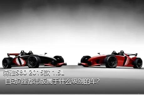 森雅S80 2015款 1.5L 自动7座都市版属于什么级别的车？