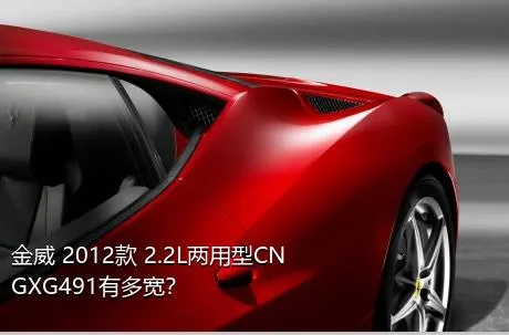 金威 2012款 2.2L两用型CNGXG491有多宽？