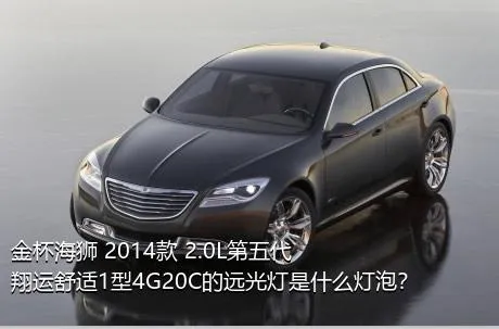 金杯海狮 2014款 2.0L第五代翔运舒适1型4G20C的远光灯是什么灯泡？