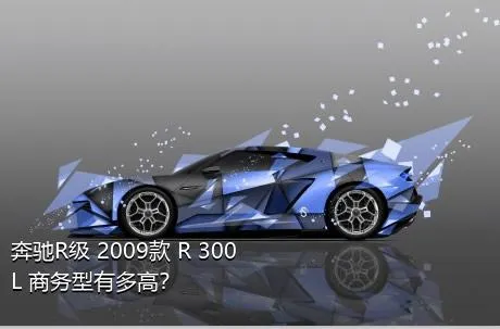 奔驰R级 2009款 R 300 L 商务型有多高？