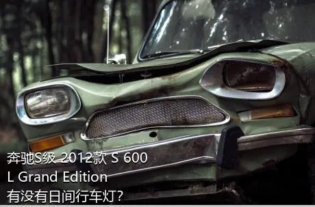 奔驰S级 2012款 S 600 L Grand Edition有没有日间行车灯？