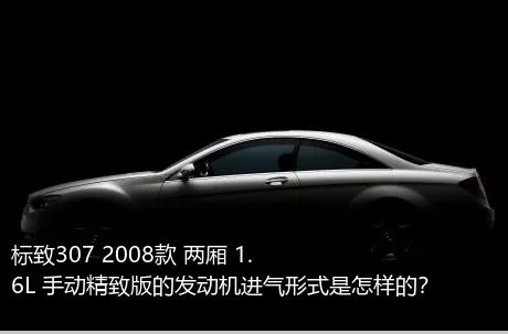 标致307 2008款 两厢 1.6L 手动精致版的发动机进气形式是怎样的？