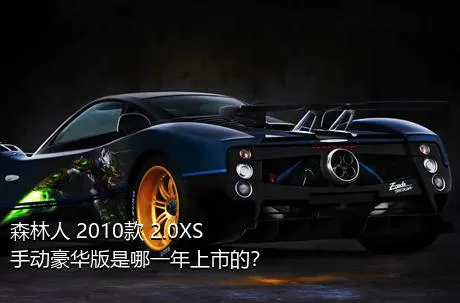 森林人 2010款 2.0XS 手动豪华版是哪一年上市的？