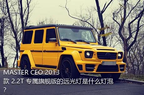 MASTER CEO 2013款 2.2T 专属旗舰版的远光灯是什么灯泡？