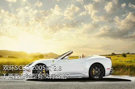 双环SCEO 2005款 2.8T 两驱豪华型有没有备胎？