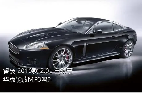 睿翼 2010款 2.0L 自动豪华版能放MP3吗？