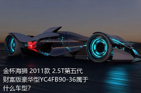 金杯海狮 2011款 2.5T第五代财富版豪华型YC4FB90-36属于什么车型？