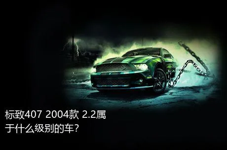 标致407 2004款 2.2属于什么级别的车？