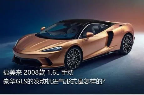 福美来 2008款 1.6L 手动豪华GLS的发动机进气形式是怎样的？