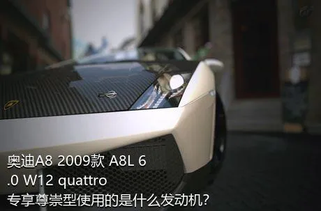 奥迪A8 2009款 A8L 6.0 W12 quattro 专享尊崇型使用的是什么发动机？